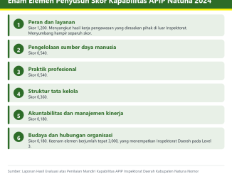 Bagan enam elemen penyusun skor kapabilitas APIP Inspektorat Daerah Kabupaten Natuna tahun 2024