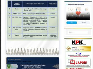Tampilan layanan digital Inspektorat Daerah Kabupaten Natuna pada perangkat seluler