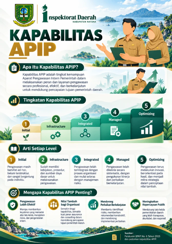 Kapabilitas APIP