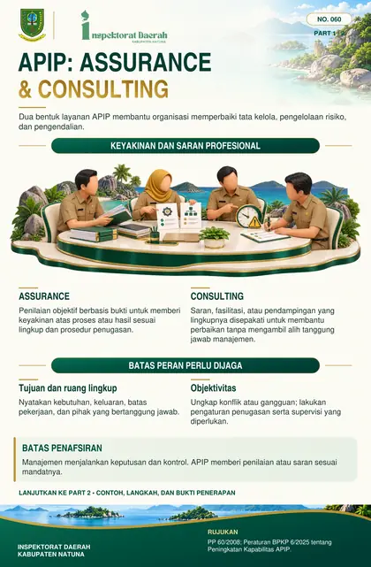 APIP: Assurance & Consulting