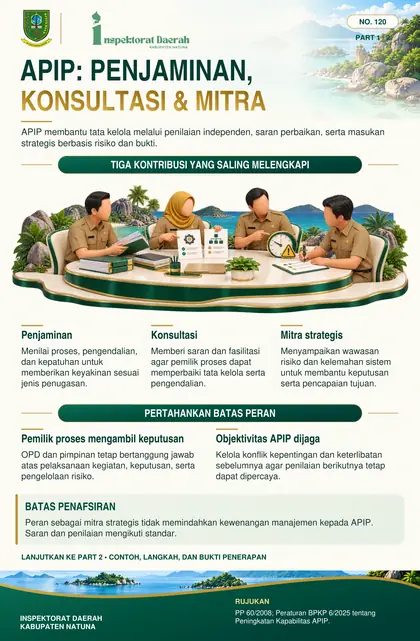 Assurance, Consulting & Strategic Partner APIP